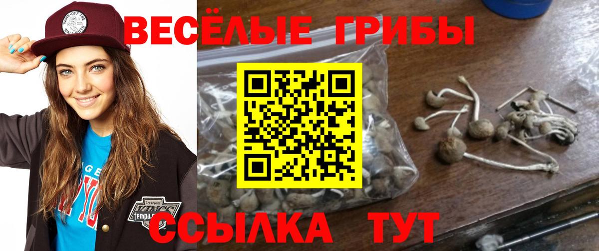 Галлюциногенные грибы Magic Shrooms Изобильный